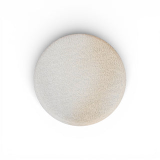 Round textured object on a white background