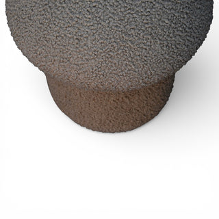 Close-up of a textured brown stone object on a white background